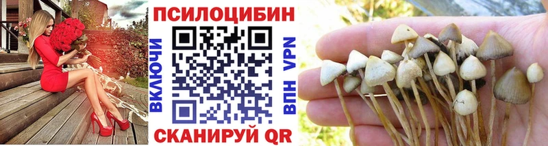 Галлюциногенные грибы ЛСД Олонец