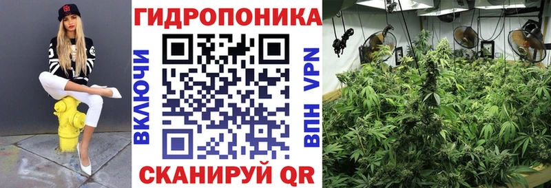 Конопля LSD WEED  дарнет шоп  omg ТОР  Олонец 